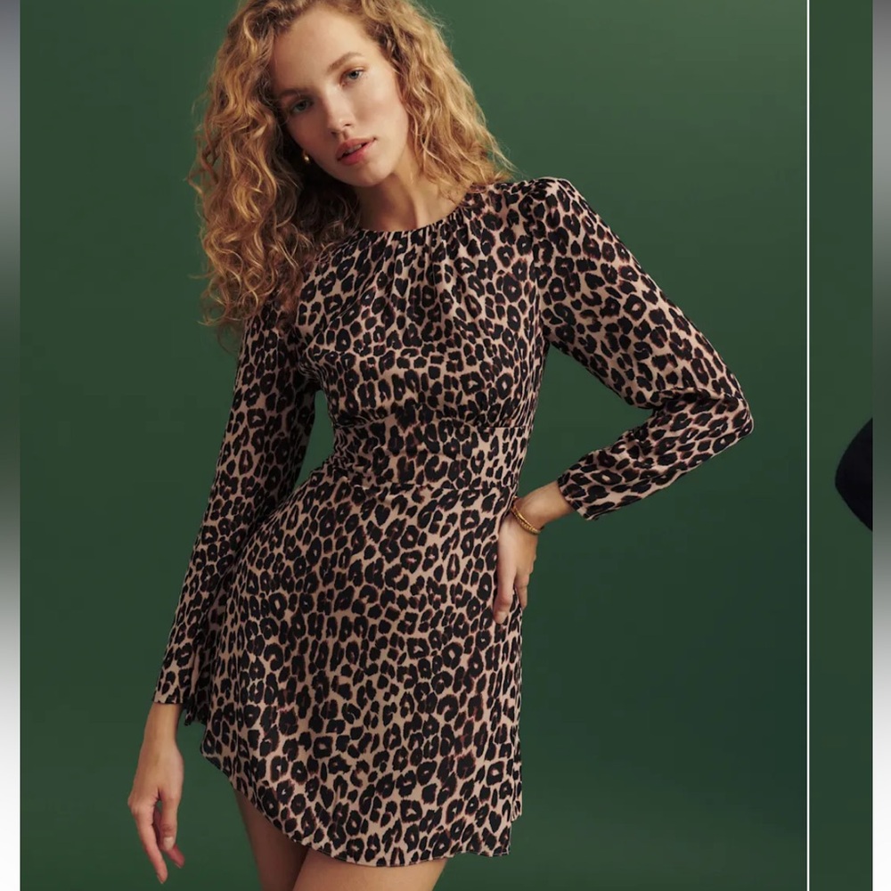 Reformation Laken Leopard Dress Size 4